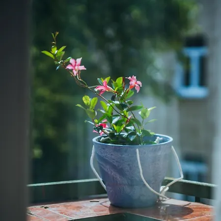 Old Town Διαμέρισμα Κλαϊπέντα