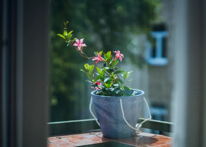 Old Town Διαμέρισμα Κλαϊπέντα